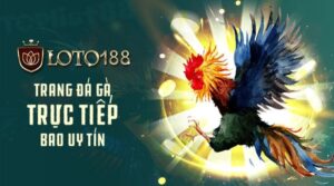 Đá gà loto188 – Sân chơi cá cược kê thủ không thể bỏ qua