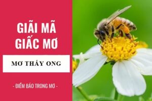 Mơ thấy ong đánh con gì? Giải mã 17 giấc mơ thấy ong