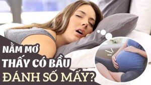 Mơ thấy có bầu đánh con gì? Giải mã 12 giấc mơ có bầu