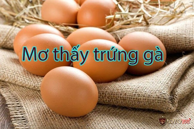 Ý nghĩa mơ thấy trứng gà - Mơ thấy trứng gà đánh con gì?