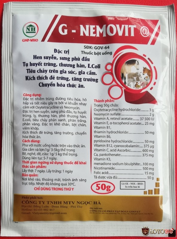 Cho gà uống G-NEMOVIT @ vừa đủ lượng 