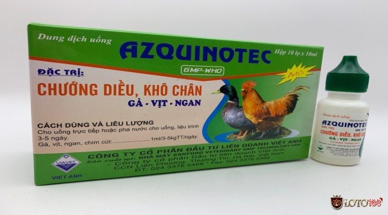 Cách chữa gà chọi gáy không ra tiếng: Dùng Azquinotex