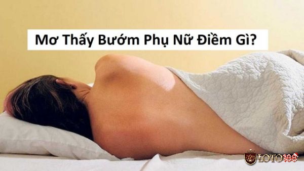 Điềm báo mơ thấy vùng kín phụ nữ - Mơ thấy bướm phụ nữ đánh con gì? 