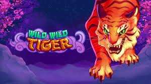 Wild Wild Tiger: Slot game về chủ đề những con hổ hoang dã