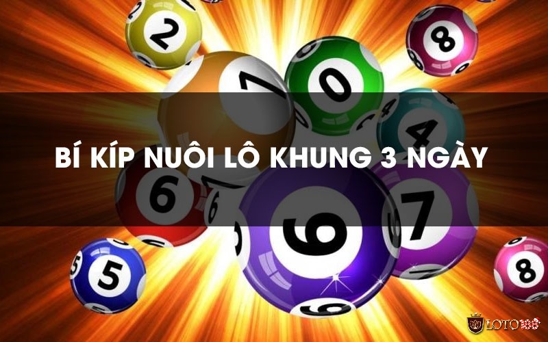 Nuôi lô khung 3 ngày có hiệu quả cao