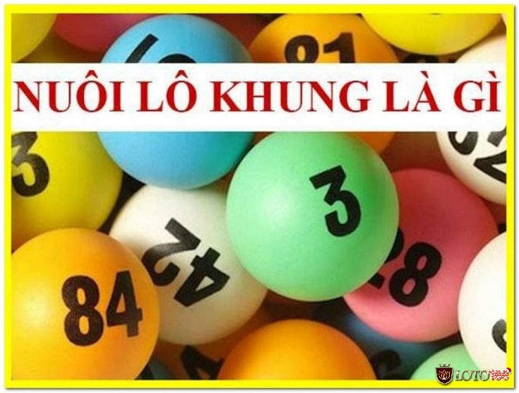 Cùng Loto188 tìm hiểu về nuôi lô khung