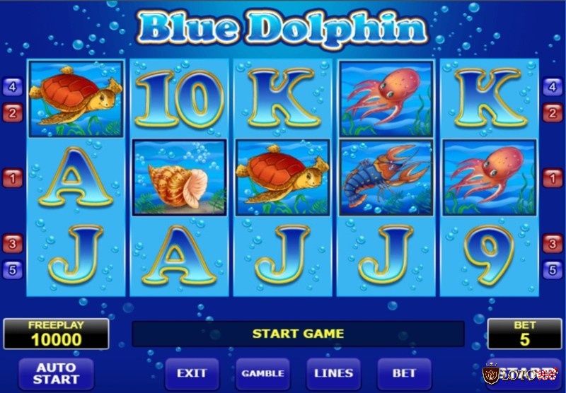 Màu xanh biển cả đặc trưng trên cuộn vô cùng hấp dẫn của Blue Dolphin