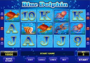 Blue Dolphin phiêu lưu biển cả đầy thú vị cùng chú cá heo xanh