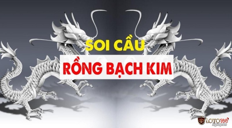 Soi cầu bạch kim là gì? Hướng dẫn tham gia